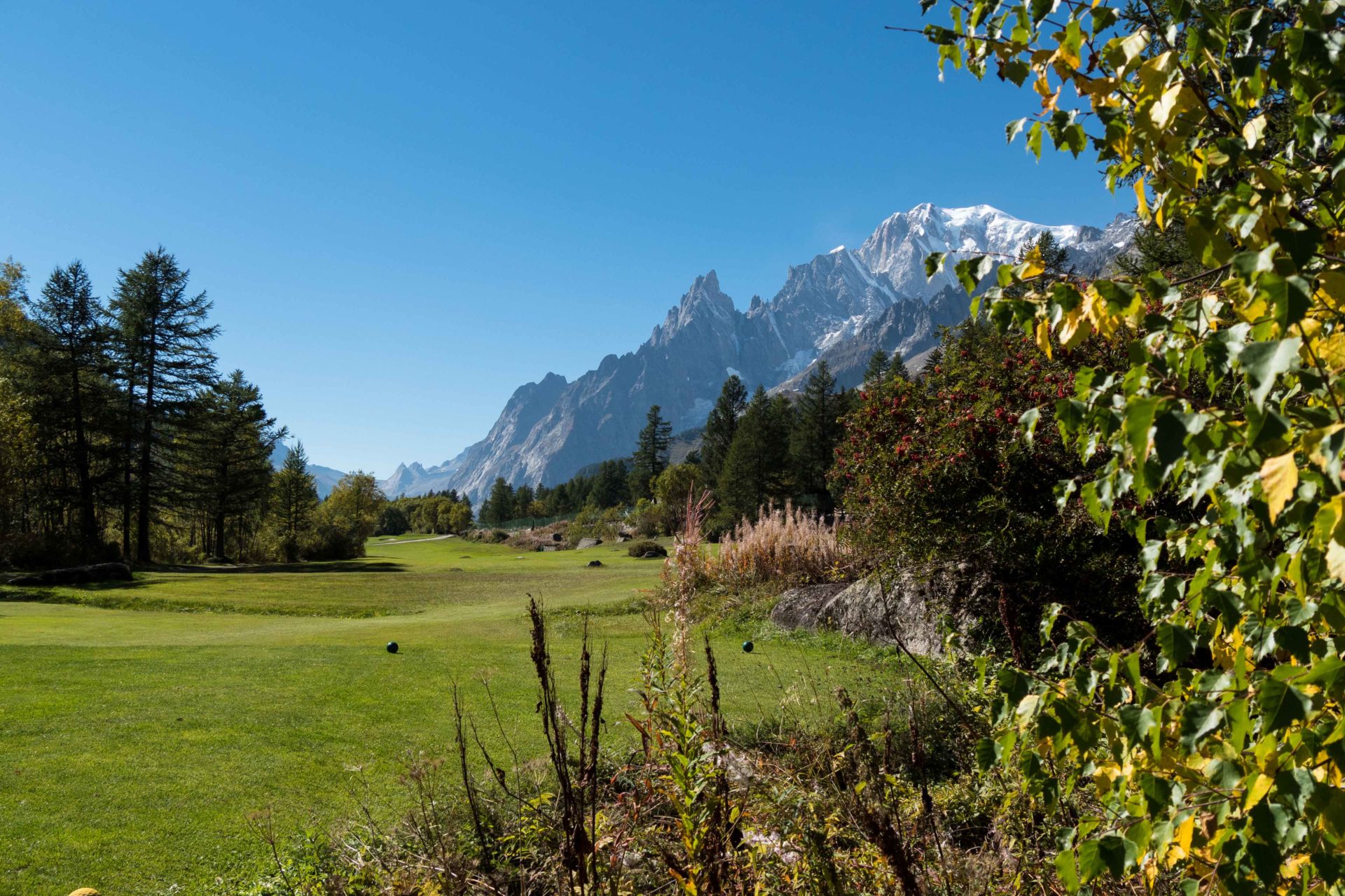 Golf Courmayeur